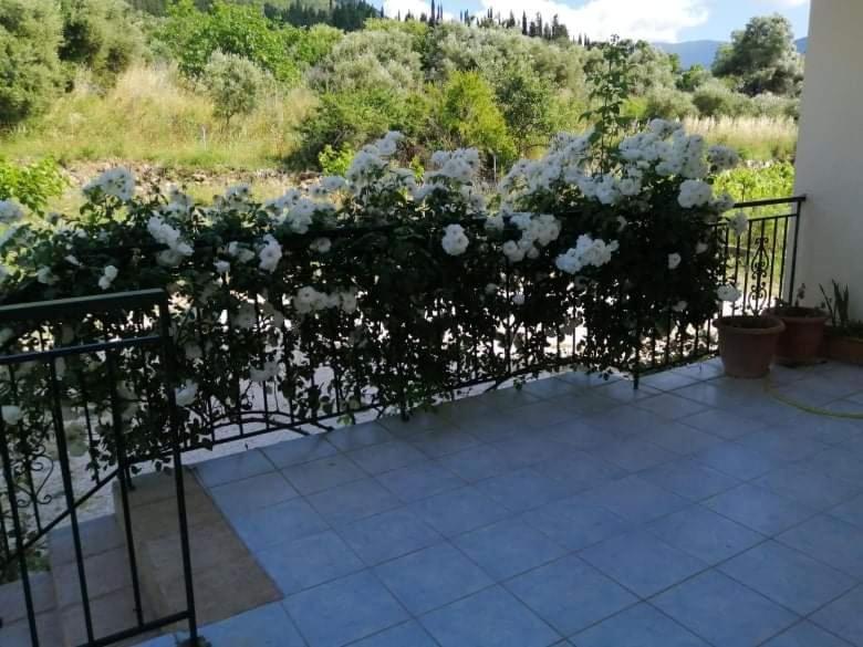 Rosegarden Villa Sami  Eksteriør billede